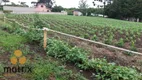 Foto 11 de Fazenda/Sítio com 3 Quartos à venda, 450m² em Centro, Lapa