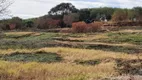 Foto 12 de Fazenda/Sítio à venda, 18000m² em Jardim Colina Verde II, Maringá