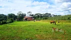 Foto 42 de Fazenda/Sítio com 5 Quartos à venda, 4000m² em Campestre da Faxina, São José dos Pinhais