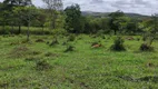 Foto 8 de Lote/Terreno à venda, 20000m² em Centro, Cachoeira da Prata