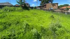 Foto 2 de Lote/Terreno à venda, 960m² em Vale Do Amanhecer, Igarapé