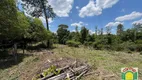 Foto 17 de Fazenda/Sítio com 4 Quartos à venda, 193600m² em Zona Rural, Pirenópolis