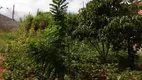 Foto 8 de Lote/Terreno à venda, 353m² em Jardim Nicéa, Itaquaquecetuba