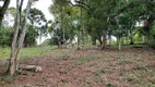 Foto 19 de Fazenda/Sítio à venda, 100m² em Rancho Alegre, Campina Grande do Sul