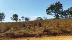 Foto 19 de Lote/Terreno à venda, 20000m² em Zona Rural, Santana de Pirapama