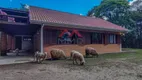 Foto 12 de Fazenda/Sítio com 3 Quartos à venda, 190m² em , Campo Magro