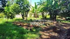 Foto 52 de Fazenda/Sítio com 4 Quartos à venda, 385m² em Joapiranga, Valinhos