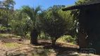 Foto 12 de Fazenda/Sítio com 3 Quartos à venda, 20000m² em Desvio Rizzo, Caxias do Sul