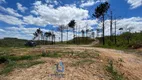 Foto 3 de Lote/Terreno à venda, 5900m² em Dona Catarina, Mairinque