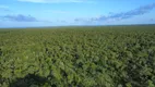 Foto 5 de Fazenda/Sítio com 4 Quartos à venda, 133000000m² em Centro, São Félix de Balsas