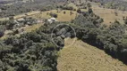 Foto 32 de Fazenda/Sítio com 3 Quartos à venda, 48000m² em Zona Rural, Orizona