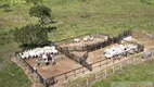 Foto 2 de Fazenda/Sítio com 4 Quartos à venda, 168m² em Rural, Paranã