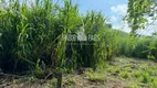 Foto 31 de Fazenda/Sítio com 3 Quartos à venda, 34656m² em Papucaia, Cachoeiras de Macacu