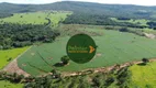 Foto 6 de Fazenda/Sítio à venda, 1113200m² em Zona Rural, Jaraguá