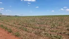 Foto 17 de Fazenda/Sítio à venda, 484000m² em Zona Rural, Ipeúna