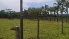 Foto 125 de Fazenda/Sítio com 5 Quartos à venda, 145000m² em Área Rural, Aragoiânia