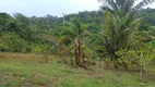 Foto 5 de Fazenda/Sítio à venda, 8799m² em Lago Azul, Manaus