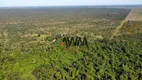 Foto 6 de Fazenda/Sítio à venda, 16165600m² em Centro, Cristalândia