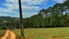 Foto 10 de Lote/Terreno à venda, 500m² em Santa Cecília, São Paulo