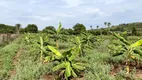 Foto 5 de Fazenda/Sítio com 1 Quarto à venda, 4550m² em Artulandia, Jaraguá