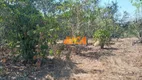 Foto 2 de Fazenda/Sítio com 2 Quartos à venda, 50000m² em , Nova Mamoré