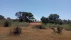 Foto 6 de Fazenda/Sítio à venda em Zona Rural, Pium