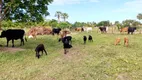 Foto 9 de Fazenda/Sítio com 3 Quartos à venda, 12000m² em Centro, Lagoa de Pedras