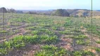 Foto 3 de Lote/Terreno com 1 Quarto à venda, 1000m² em Usina, Atibaia