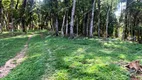 Foto 7 de Fazenda/Sítio com 3 Quartos à venda, 7200m² em Campestre da Faxina, São José dos Pinhais