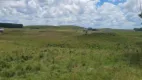 Foto 16 de Fazenda/Sítio à venda, 45000m² em Centro, São Francisco de Paula