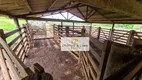 Foto 23 de Fazenda/Sítio com 10 Quartos à venda, 800m² em Vila Cearense, Araguaína