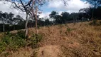 Foto 17 de Fazenda/Sítio com 3 Quartos à venda, 160000m² em Centro, Itaguara