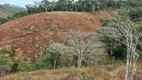 Foto 21 de Lote/Terreno à venda, 260021m² em Pedra Azul de Arace, Domingos Martins