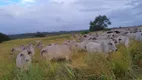 Foto 4 de Fazenda/Sítio com 4 Quartos à venda, 550m² em Zona Rural , São Pedro