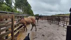 Foto 30 de Fazenda/Sítio à venda, 430000m² em Zona Rural, Itaguara