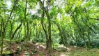 Foto 44 de Fazenda/Sítio com 2 Quartos à venda, 80000m² em , Nova Petrópolis