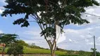 Foto 7 de Lote/Terreno à venda, 600m² em Jardim América , Jaú
