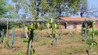 Foto 6 de Fazenda/Sítio à venda, 950000m² em Vila Eduardo, Petrolina