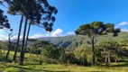 Foto 6 de Fazenda/Sítio à venda, 20000m² em Santa Tereza, Urubici