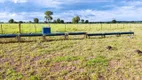 Foto 10 de Fazenda/Sítio com 7 Quartos à venda em , Araguapaz