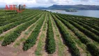 Foto 10 de Fazenda/Sítio à venda, 145m² em Centro, Carmo do Rio Claro