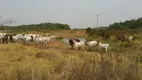 Foto 46 de Fazenda/Sítio com 3 Quartos à venda, 3900000m² em Area Rural de Porto Velho, Porto Velho