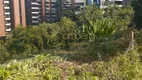 Foto 10 de Lote/Terreno à venda, 468m² em Jardim Vitoria Regia, São Paulo