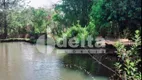 Foto 30 de Casa com 4 Quartos à venda, 350m² em Area Rural de Uberlandia, Uberlândia