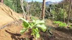 Foto 36 de Fazenda/Sítio com 3 Quartos à venda, 150m² em Mury, Nova Friburgo