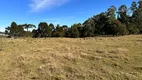 Foto 21 de Fazenda/Sítio à venda, 20000m² em Zona Rural, Urubici