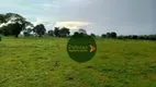 Foto 13 de Fazenda/Sítio à venda, 4065600m² em Zona Rural, Faina