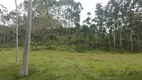 Foto 11 de Fazenda/Sítio com 2 Quartos à venda, 240000m² em Pouso Alto, Natividade da Serra