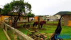 Foto 17 de Fazenda/Sítio com 4 Quartos à venda, 650m² em Ingleses do Rio Vermelho, Florianópolis