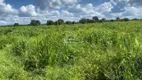 Foto 8 de Fazenda/Sítio à venda em Centro, Januária